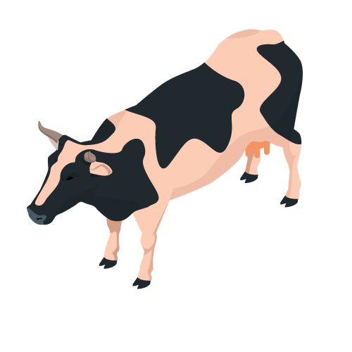 Cattle Insurance