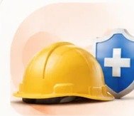 Safety helmet and shield
